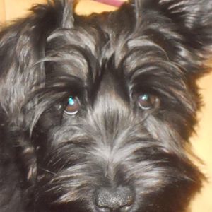 Meet your Posher, Beth